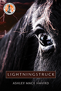 Lightningstruck