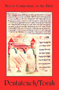 Mercer Commentary on the Bible Vol 1: Pentateuch/Torah