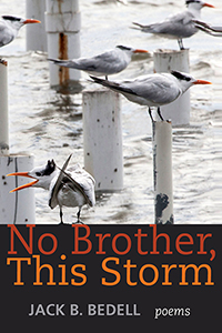No Brother, This Storm: Poems