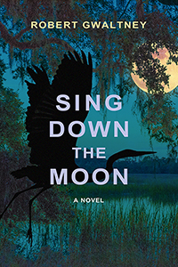 Sing Down the Moon: A Novel